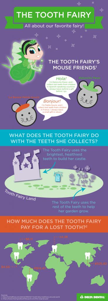 Magic tooth fairy infographics